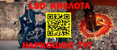 сатива Гай