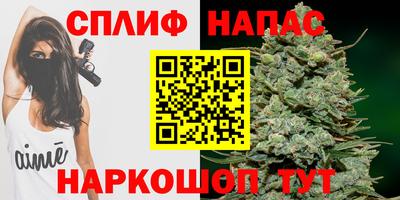 сатива Гай