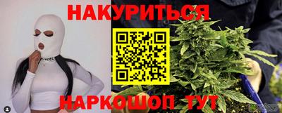 сатива Гай