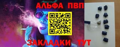 сатива Гай