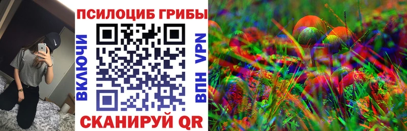 Галлюциногенные грибы мицелий  Заводоуковск 