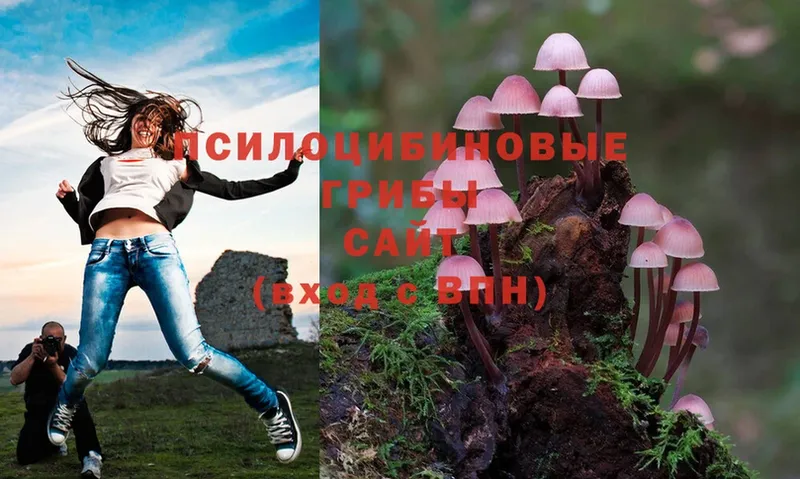 Галлюциногенные грибы Magic Shrooms  Заводоуковск 