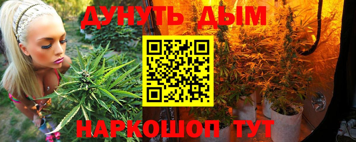 Марихуана план  Шишки марихуана гибрид  Вход с VPN  Каннабис Bruce Banner  Заводоуковск  Конопля MAZAR 